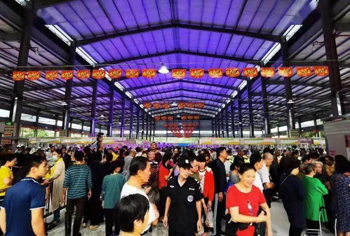 桂中过渡农贸市场开业迎客，农副产品丰富多样，文艺演出添喜庆