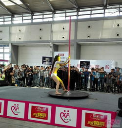 2016西安性博会现场直击 钢管舞表演的艺术张力与行业思考