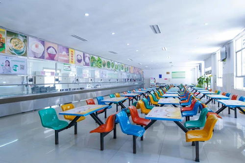 开学季定制客运进校园 如何合规开展营业性演出服务